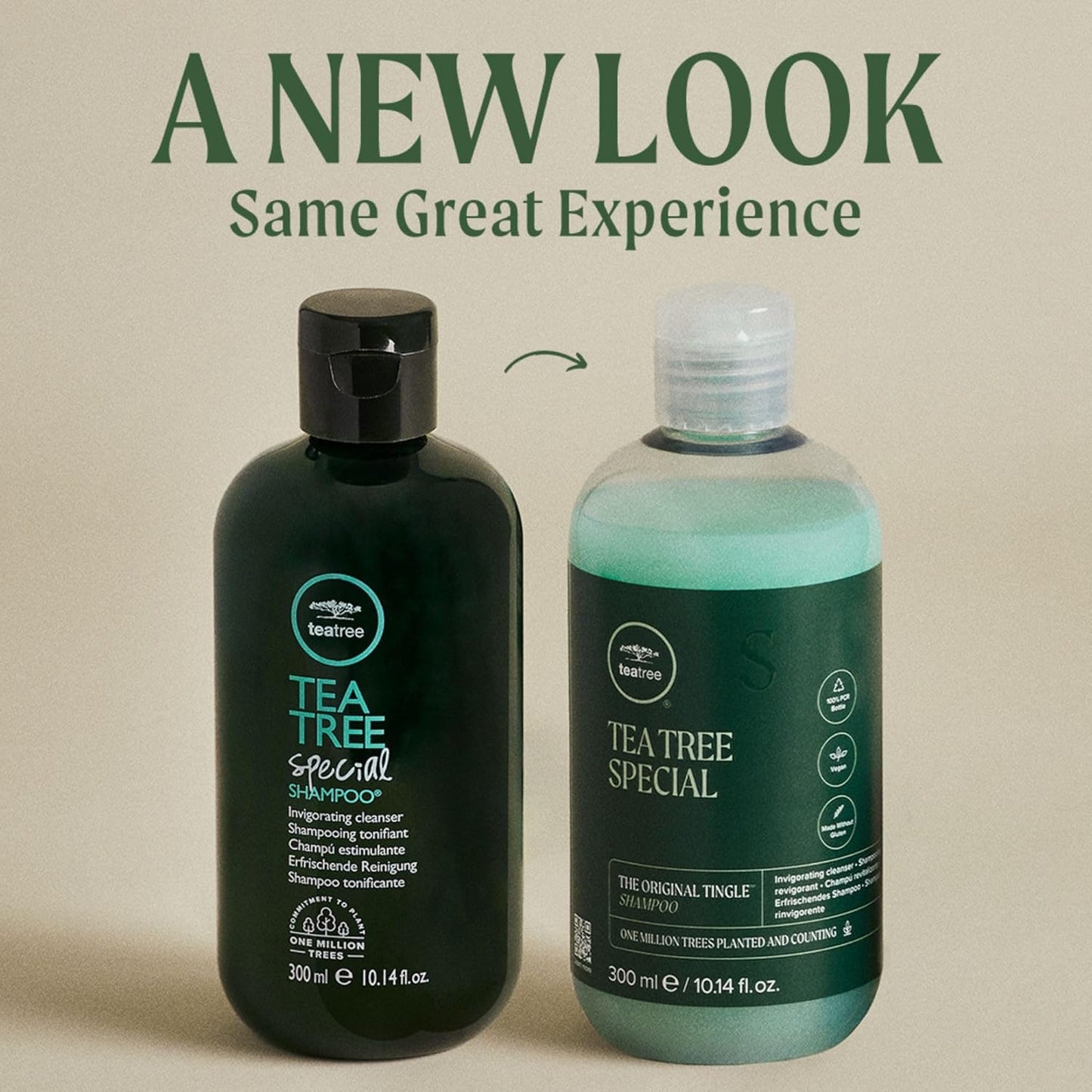 Tea Tree Special Shampoo – Deep Cleansing & Refreshing Formula for Healthy Scalp and Hair | Vegan & Paraben-Free