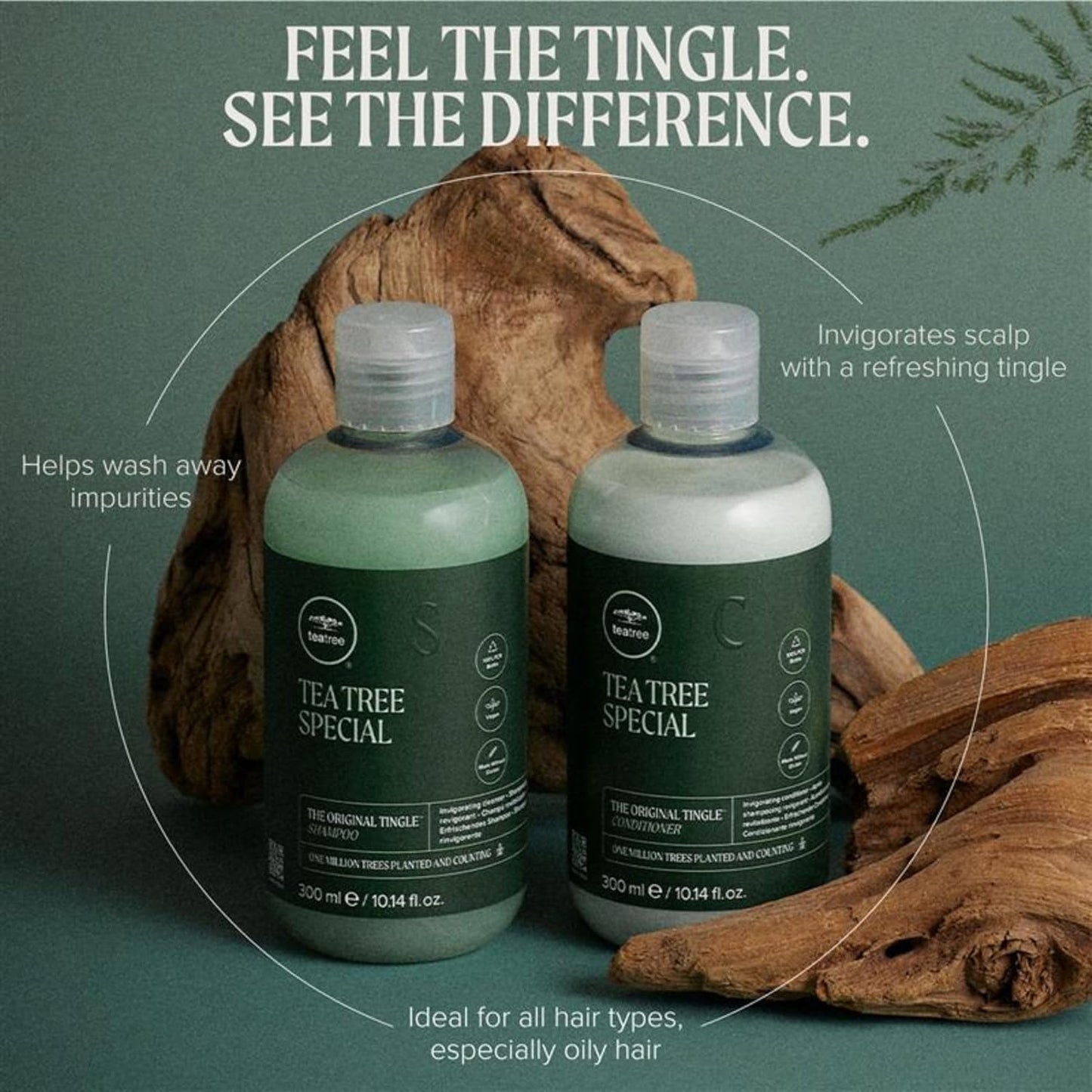 Tea Tree Special Shampoo – Deep Cleansing & Refreshing Formula for Healthy Scalp and Hair | Vegan & Paraben-Free