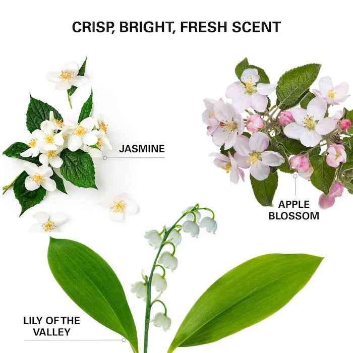 COLOR WOW  Insta-Wow Advanced Dry Shampoo